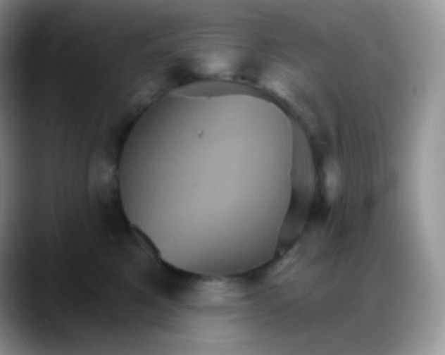 X0000088200521200705292035