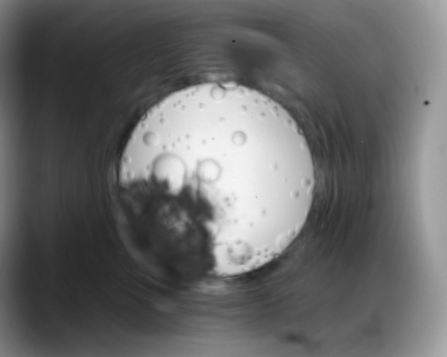 X0000088200523200705292035