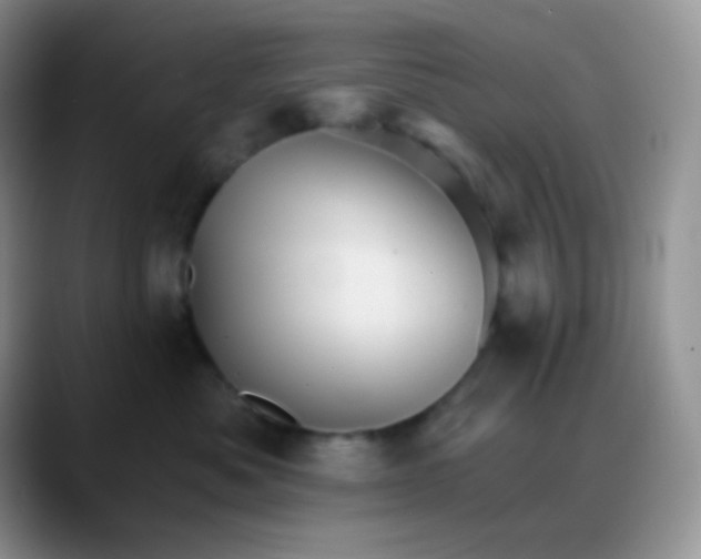 X0000088200525200705292035