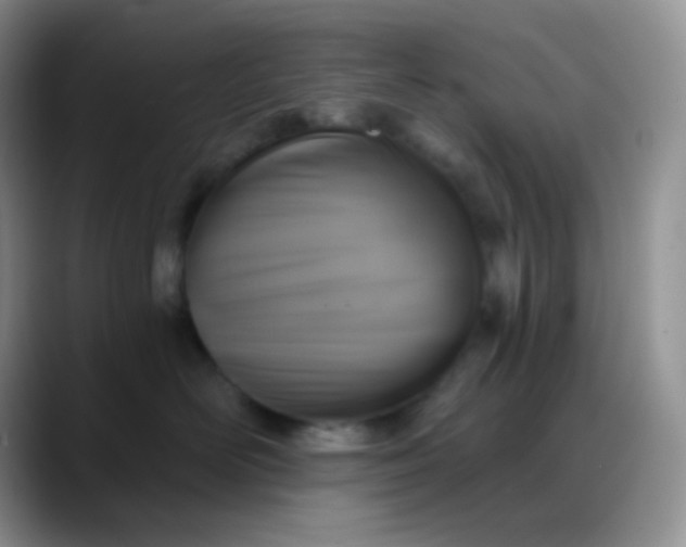 X0000088200526200705292035