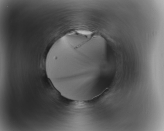 X0000088200528200705292035