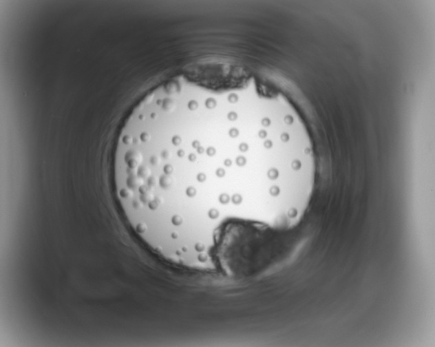 X0000088200529200705292034