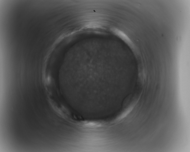 X0000088200530200705292034