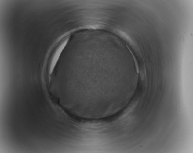 X0000088200532200705292034