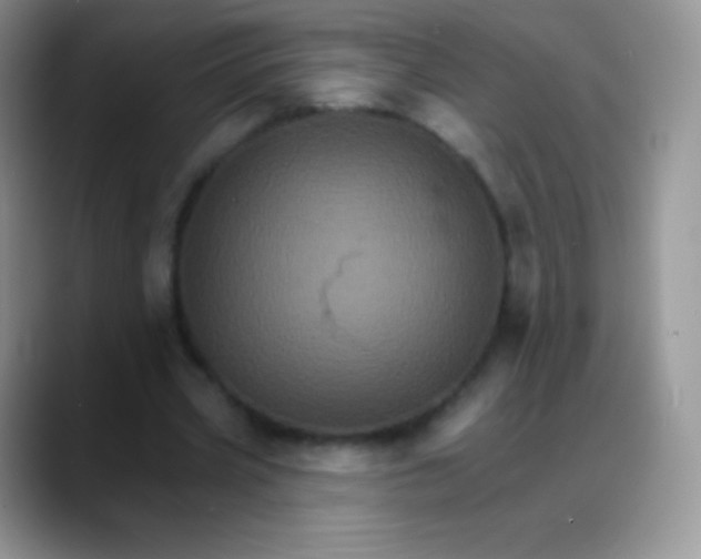 X0000088200533200705292034