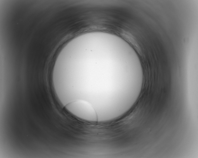 X0000088200534200705292034