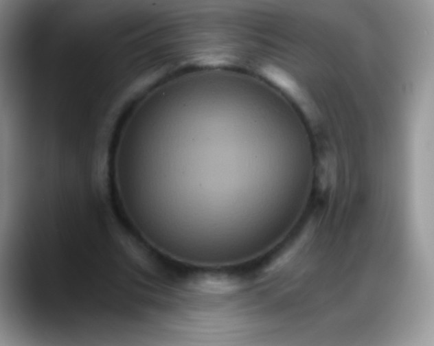 X0000088200535200705292034