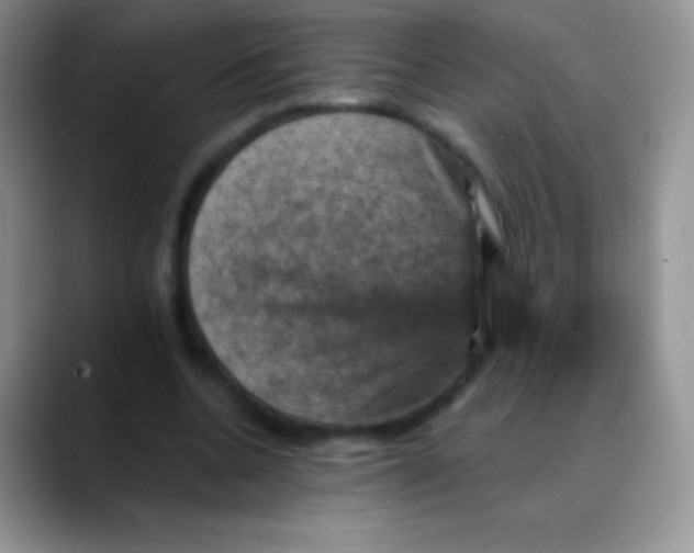 X0000088200536200705292034