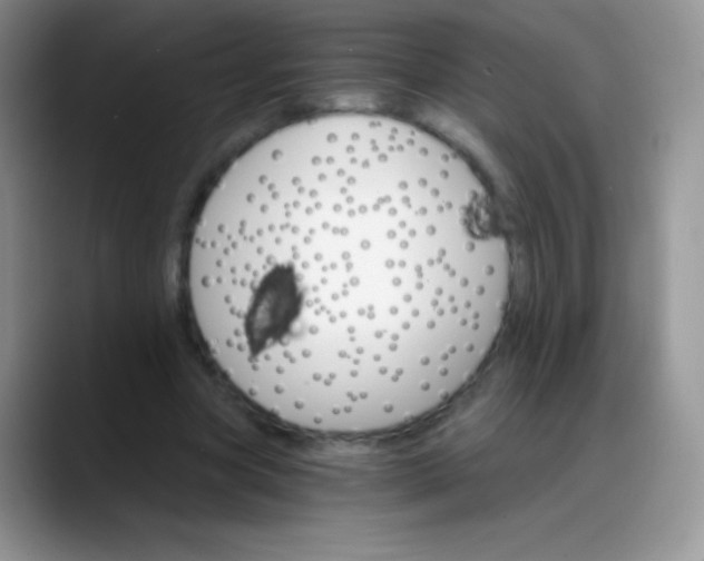 X0000088200537200705292034