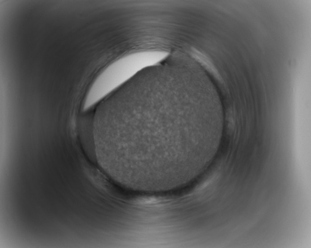 X0000088200538200705292034