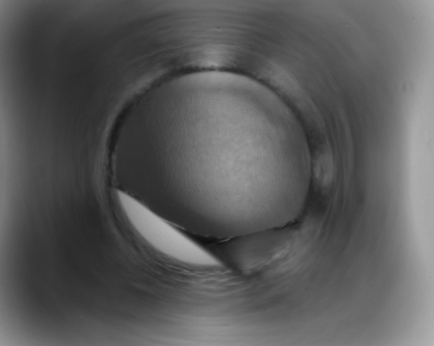 X0000088200540200705292034