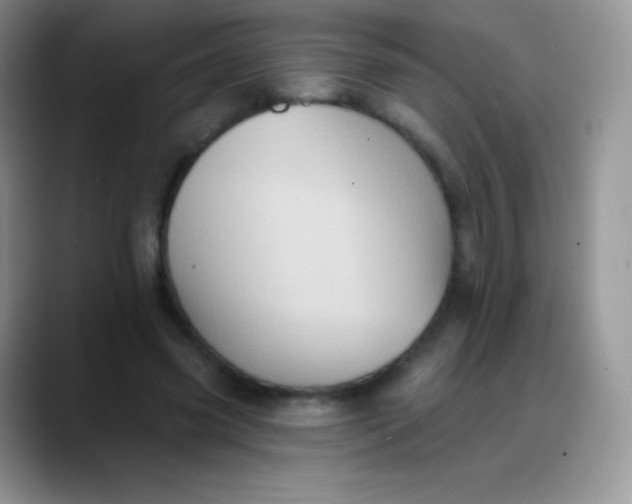 X0000088200541200705292034