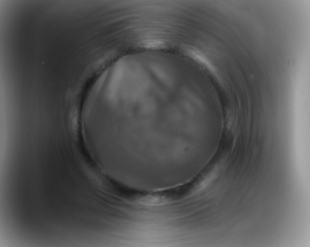 X0000088200542200705292034