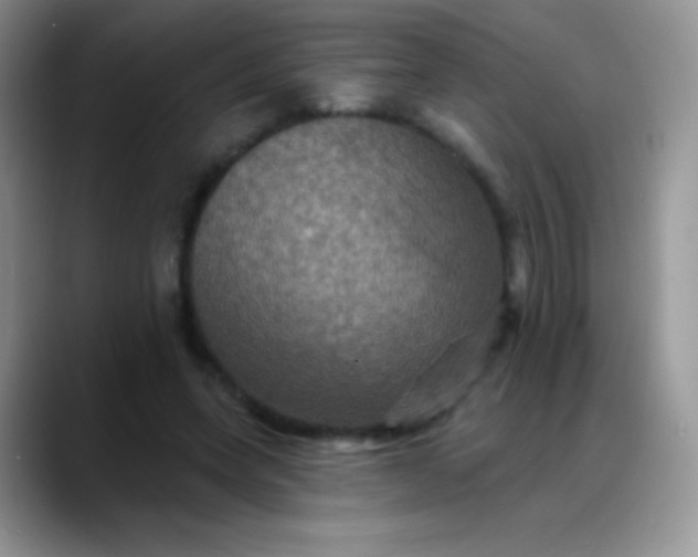 X0000088200543200705292034