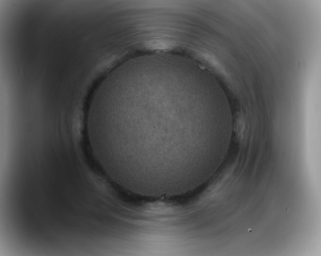 X0000088200544200705292034