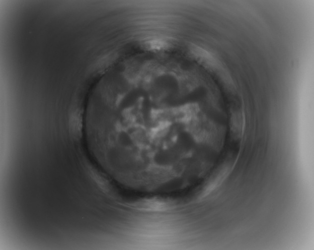 X0000088200545200705292034