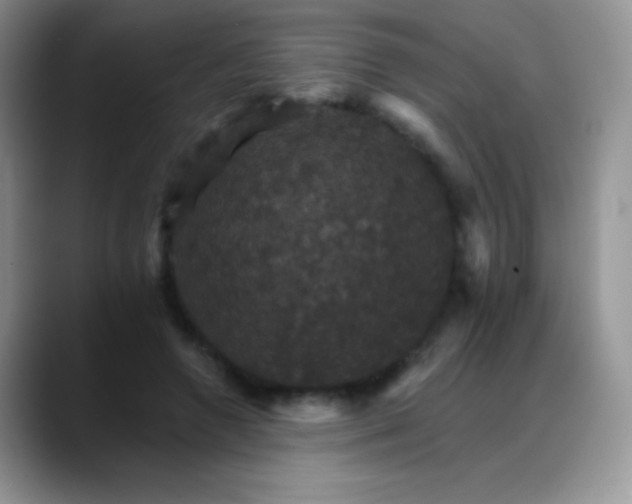 X0000088200546200705292034