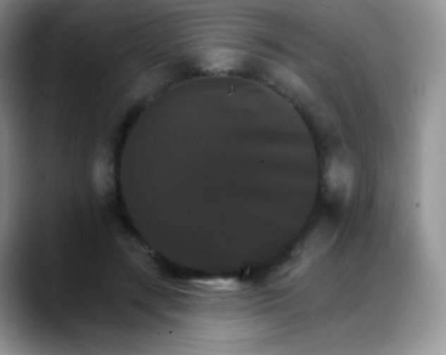 X0000088200547200705292034