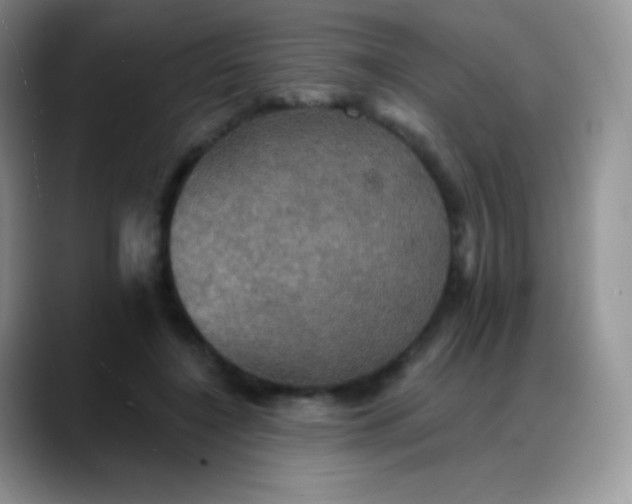 X0000088200548200705292034