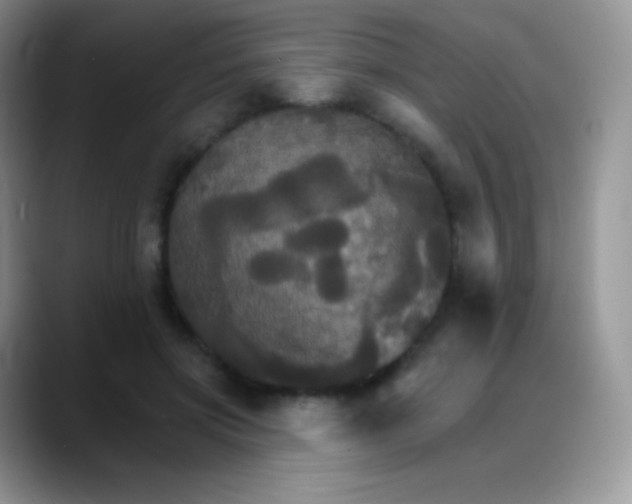 X0000088200549200705292034