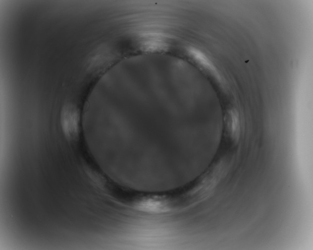 X0000088200550200705292034