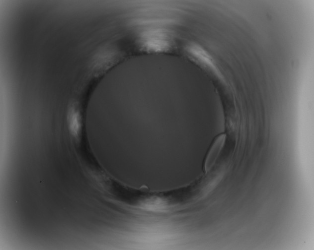 X0000088200551200705292035