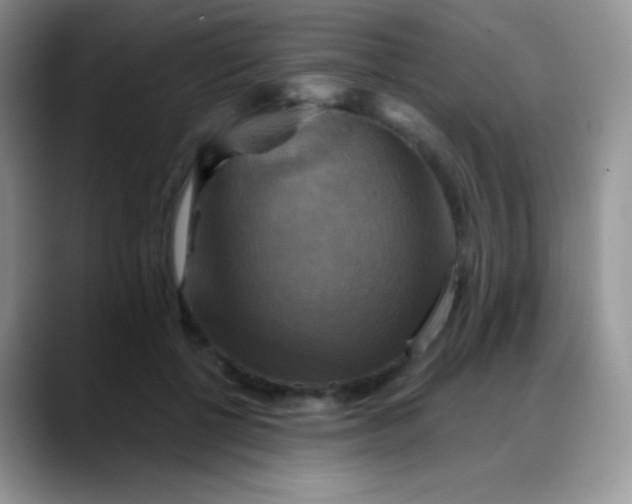 X0000088200552200705292035