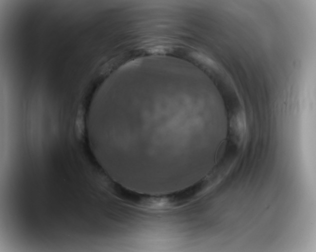 X0000088200554200705292035