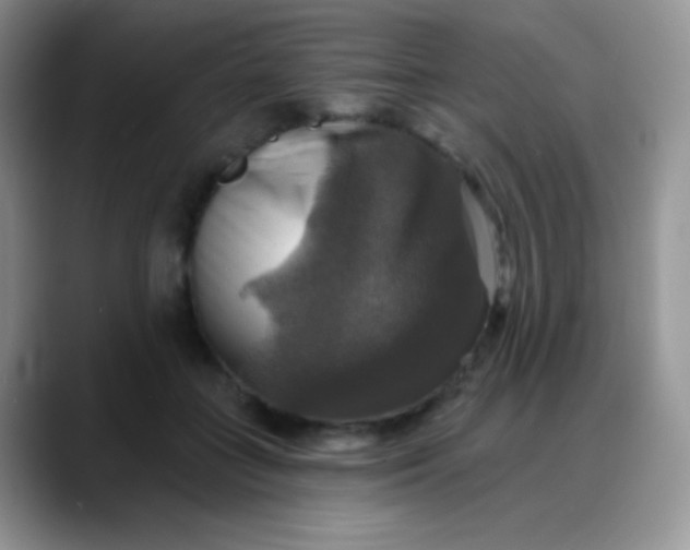 X0000088200555200705292035