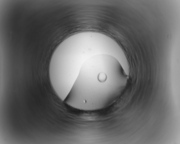 X0000088200556200705292035