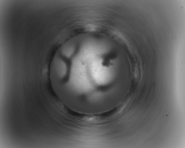 X0000088200557200705292035