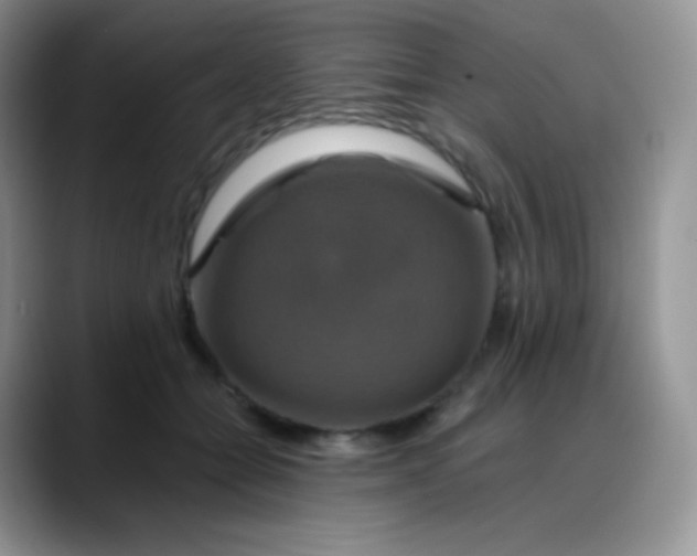 X0000088200558200705292035