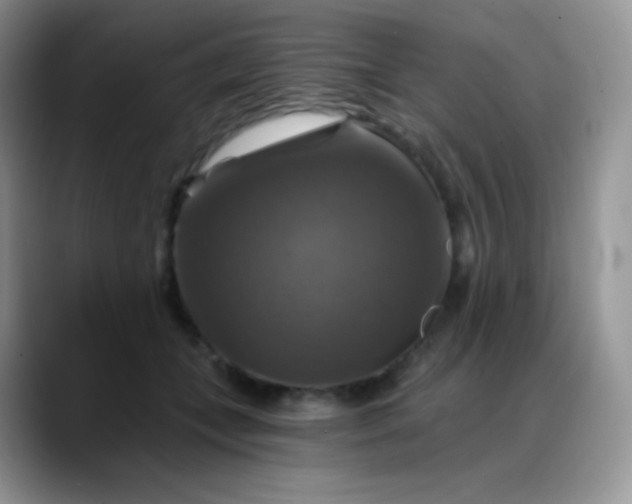 X0000088200559200705292035