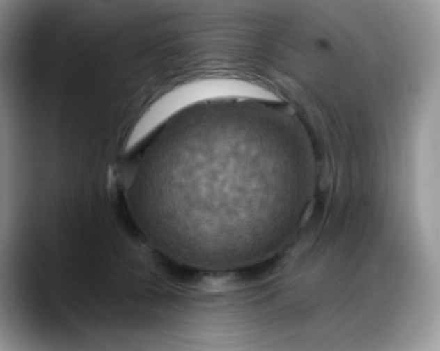 X0000088200560200705292035