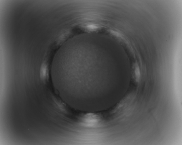 X0000088200562200705292035