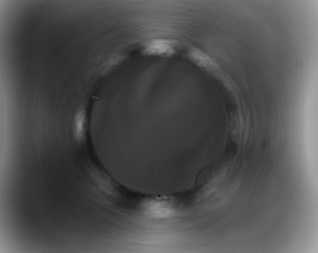 X0000088200563200705292035