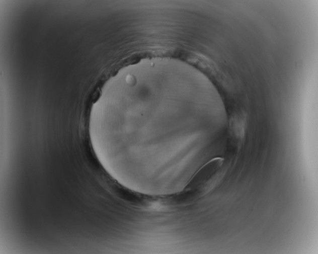 X0000088200564200705292035