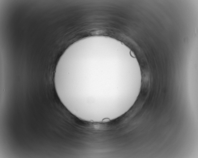 X0000088200565200705292035