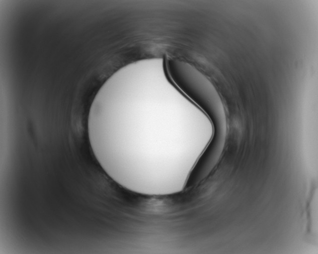 X0000088200566200705292035