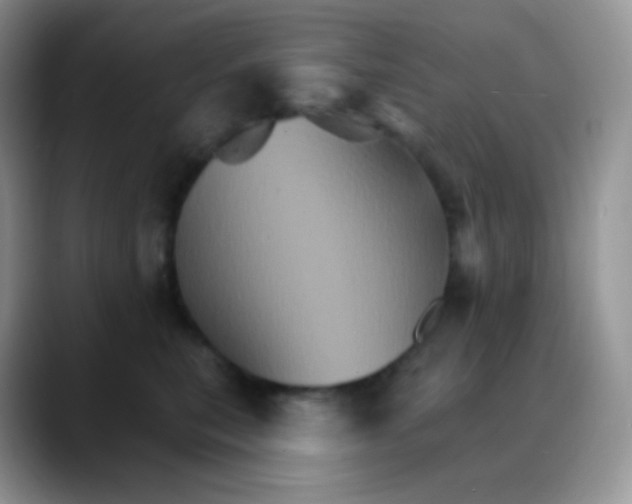 X0000088200567200705292035