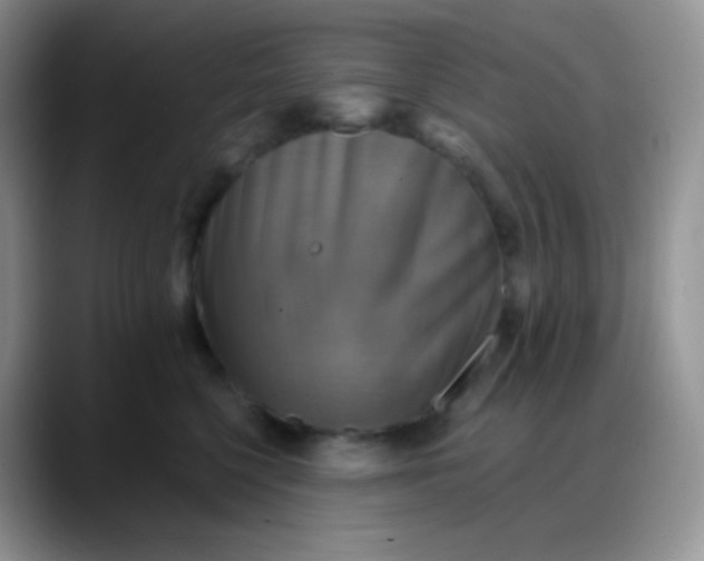 X0000088200568200705292035