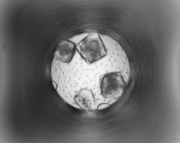 X0000088200573200705292035