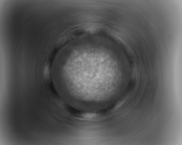 X0000088200575200705292035