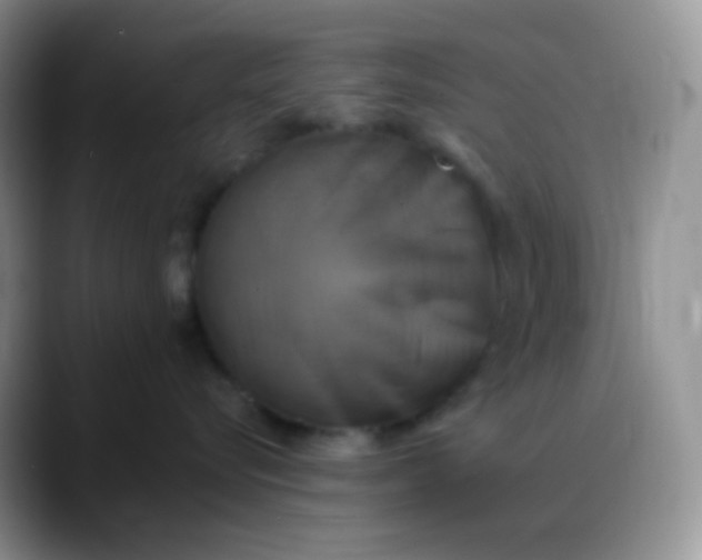 X0000088200576200705292035