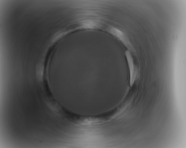 X0000088200579200705292034