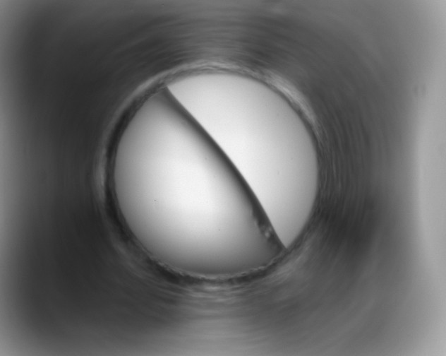 X0000088200580200705292034