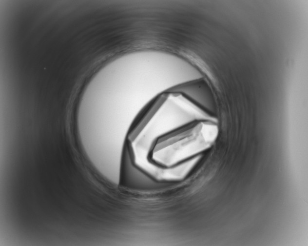 X0000088200581200705292034