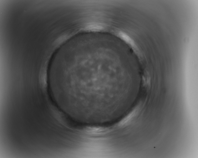 X0000088200582200705292034