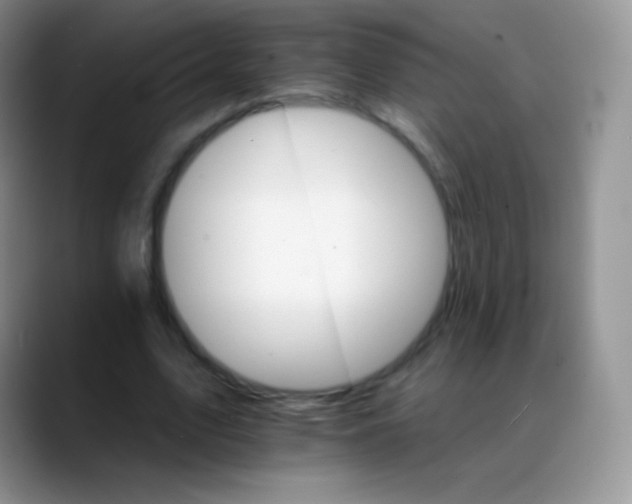 X0000088200583200705292034