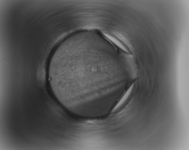 X0000088200584200705292034